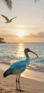 Bird on a sunset beach, peaceful scenery.