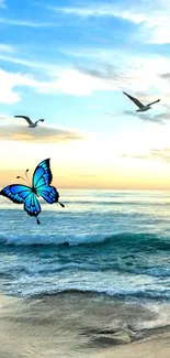 Blue butterfly over serene beach at sunset with flying seagulls.