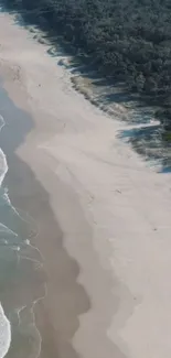 Aerial view of a serene beach and forest coastline.