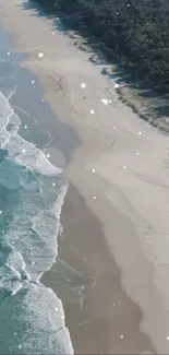 Aerial view of a serene beach with waves and lush forest backdrop.