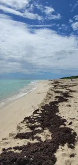 Serene beach with azure sea and cloudy sky, perfect for a calming wallpaper.