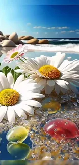 Beautiful beach with daisies and colorful pebbles by the ocean.