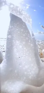 Ethereal foam art on a sunny beach.