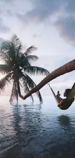 Tropical hammock over ocean with palm tree and sunset sky.