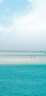 Serene beach with blue ocean and distant horizon.