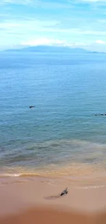 Serene beach wallpaper with ocean view and sandy shore for mobile.