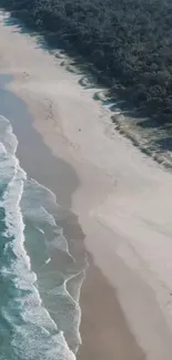 Aerial view of a serene beach with gentle waves and sandy shores.