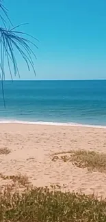 Serene beach scene with blue ocean and sandy coastline, ideal mobile wallpaper.