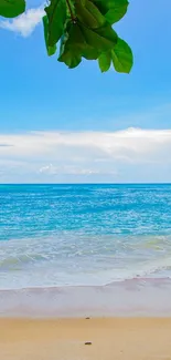 Serene beach with blue sky and ocean, green leaves in view.