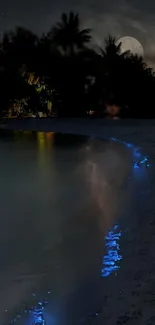 A serene beach at night with glowing waves and a moonlit sky.