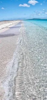 A serene beach scene with clear blue sky and transparent ocean waters.