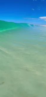 Serene beach with ocean waves under a clear blue sky.