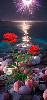 A red rose on a pebbled beach path under a night sky with fireworks.