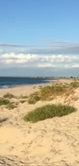 Beautiful beach with sand dunes under a bright blue sky.