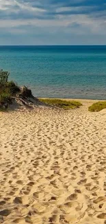 Beach sand path leading to ocean under a bright sky.