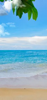 Mobile wallpaper featuring a serene beach with blue skies and calm ocean waves.