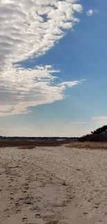 Peaceful sandy beach with blue sky and clouds.