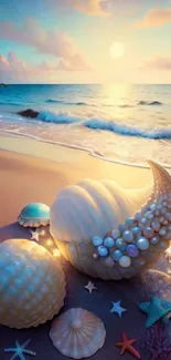 Seashells on a beach with a colorful sunset over the ocean.