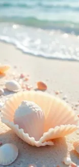 Beach with seashells and gentle waves on sand.