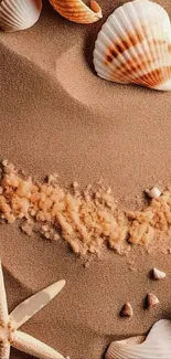 Seashells scattered on sandy brown background