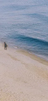 Serene beach wallpaper with blue ocean and sandy shore.