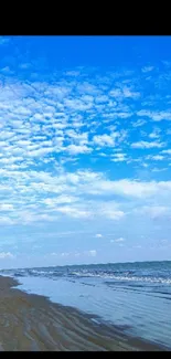 Serene beach with blue sky and calm ocean waves.