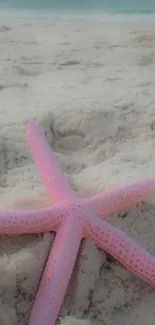 Pink starfish on sandy beach with ocean in background.