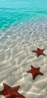 Starfish on a serene beach with clear turquoise water.