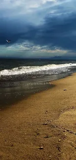 Serene beach with stormy skies and gentle waves on a sandy shore.