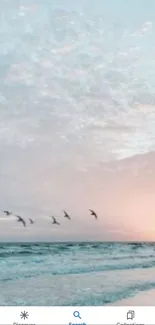 Serene beach sunrise with pastel sky and birds flying over the ocean waves.