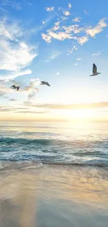 Serene beach sunrise with birds over ocean and gentle waves.