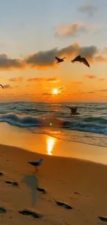 Beach sunset with seagulls and waves in golden light.