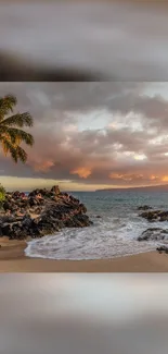 A breathtaking beach sunset with palm trees and a golden sky.