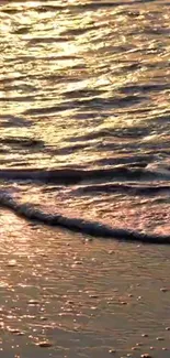 Serene beach at golden sunset with gentle waves reflecting warm light.