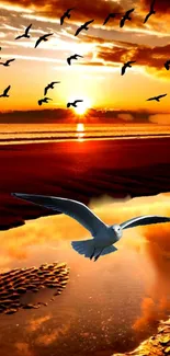 Beautiful sunset beach wallpaper with seagulls flying above a serene ocean view.