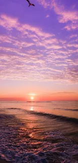 A tranquil beach sunset with purple and pink hues over calm ocean waves.