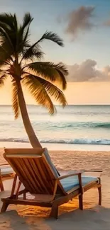 Scenic beach with palm tree at sunset, serene ocean view.