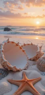 Seashells and starfish on a serene beach at sunset.