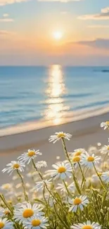 Beach sunset with daisies by the shore, casting a serene glow.