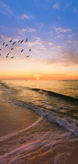 A beach at sunset with birds flying and waves gently crashing.