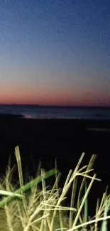 A calming beach sunset with dusk hues over the ocean and shoreline grass.