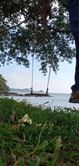 A peaceful beach scene with a swing hanging from a tree, overlooking the ocean.