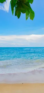 Serene beach scene with blue sky and ocean waves under green leaves.