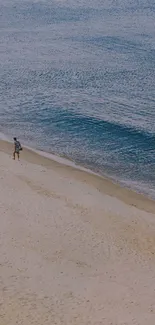 Two people walking along a serene sandy beach beside gentle waves.