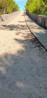 Tranquil beach walkway with trees and blue sky.