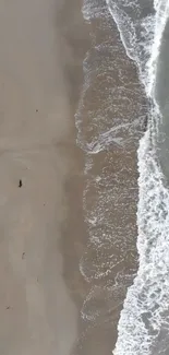 Aerial view of serene beach with gentle waves and sandy shore.