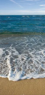 Serene beach waves and seashells on sandy shore wallpaper.