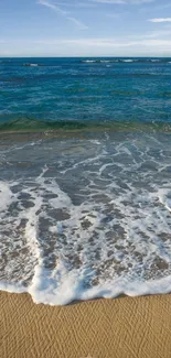 Beach wallpaper with waves and seashells on the sand.