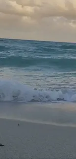 Serene beach with gentle waves and a cloudy sky.