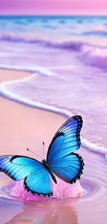 Blue butterfly resting on a pink beach with ocean waves.